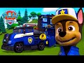 Grande Desastre Do Cano O Chase Salva Os Castores Patrulha Pata PAW Patrol