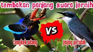 Download lagu ini beda | MASTERAN VIRAL 2025 - TENGKEK UDANG VS JINJING PETULAK mp3