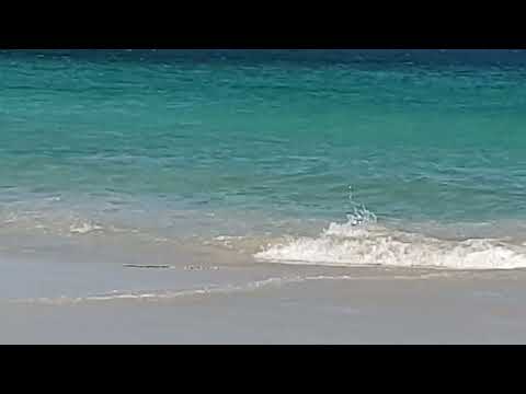 Gradation.Tasman Sea.Callala Beach  Walk