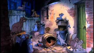 Luke Temple   Someone, Somewhere