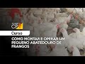 Curso Administração da Pequena Empresa Rural