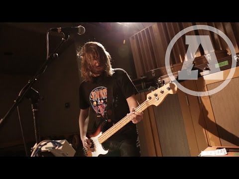 PUP - DVP - Audiotree Live