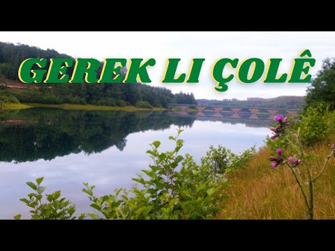 Omer Gundi - Şemlane