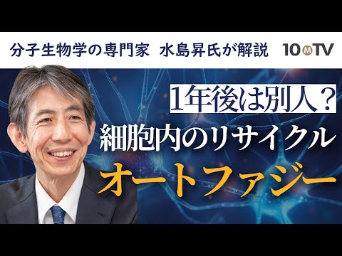 オートファジー解読でノーベル医学賞受賞