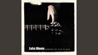 Bloom, Luka - In Between Days video