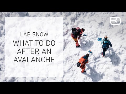 Companion rescue after an avalanche – tutorial (13/17) (English) | LAB SNOW