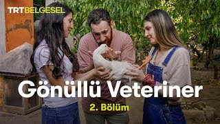 Gönüllü Veteriner | 2. Bölüm | TRT Belgesel