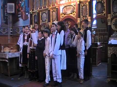 Activitatea pastoral-misionară, socială şi catehetică a Parohiei Fizeş