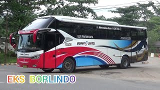 preview picture of video 'AVCHD || Bus baru dari Buah Batu ( ARF 43 )  Eks Borlindo'