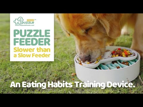 Now on Kickstarter: Puzzle Feeder - A Eating Habit Changing Device For Your Dog