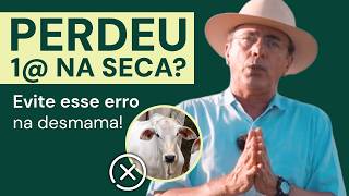 Miniatura do vídeo