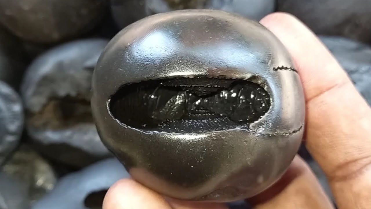 Shaligram Shila || Various kinds of Sri Narsimha Shaligram