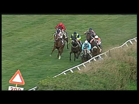 Galoppo 25/02/2020 - 4ª corsa