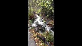 preview picture of video 'City of Burien Water Drainage at Eagle Landing Park'