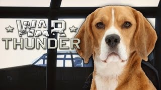 War Thunder Gameplay: Assume the Doggy Style Position