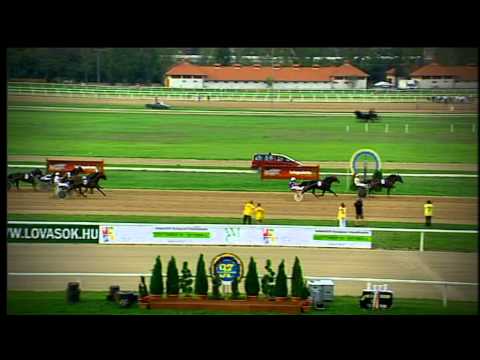 MFB - 98. Magyar Ügetőderby