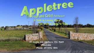 preview picture of video 'Apple Tree Pet Resort - Dog Kennel and Cattery'