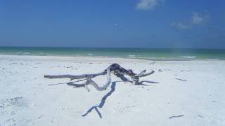 Rialto: Summer&#39;s Over