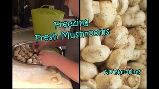 Freezing Fresh Mushrooms | No Blanching