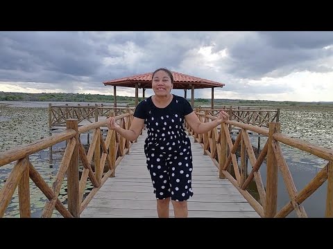 PONTO TURÍSTICO DA CIDADE DE BIRITINGA BAHIA 