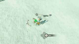 After killing 30 lynels, I finally get the guts