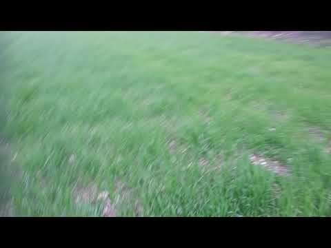 Yeşil güzeldir yeşil