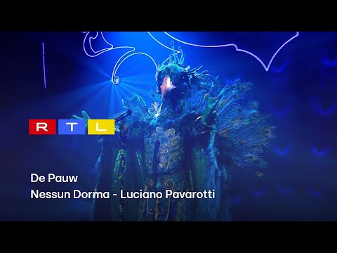 De Pauw laat jury sprakeloos achter: 'Deze moet zeker naar de finale' | The Masked Singer