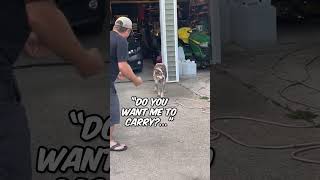 This dog can&#39;t accept he&#39;s an old man 😆