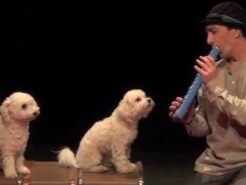 DIVA et  JUPY teaser