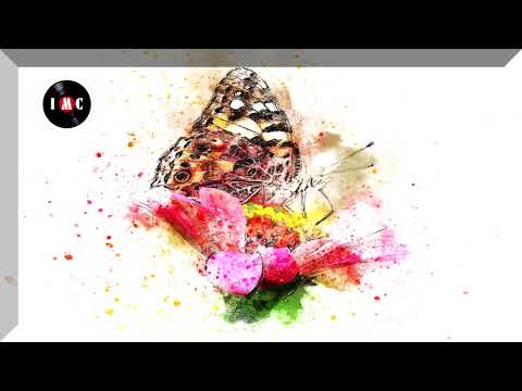 A Summer Breeze (Instrumental Version) ~ Sebastian Forslund