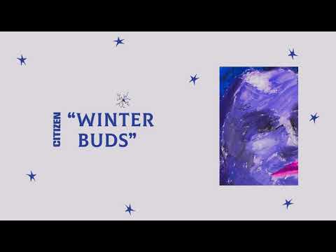 Video thumbnail for Winter Buds