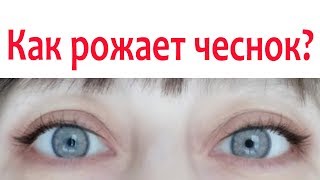 Чесночные роды/ А не спеть ли мне песню/Ах-жизнь! Март 2019