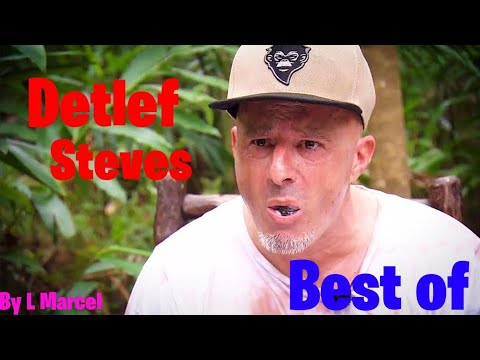 Best of Detlef Steves