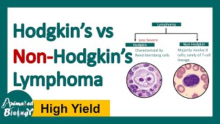 Hodgkin vs Non Hodgkin Lymphoma | Differences between Hodgkin and Non Hodgkin lymphoma