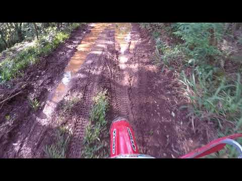 Trilhão do chapéu de Palha