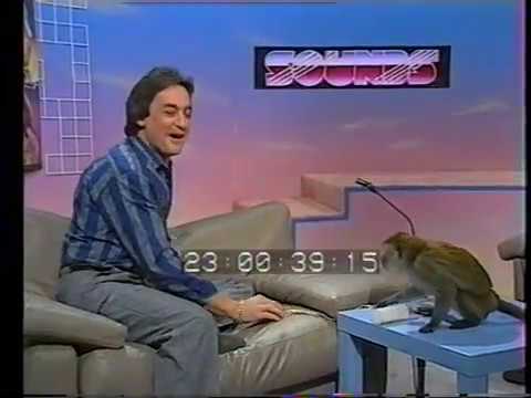 Sounds: Donnie gets charged at by Sally Anne - the monkey (not money) from Mad Max (1985)