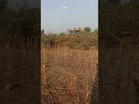  Agricultural Land 8 Acre for Sale in Chincholi, Gulbarga