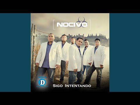Sigo Intentando