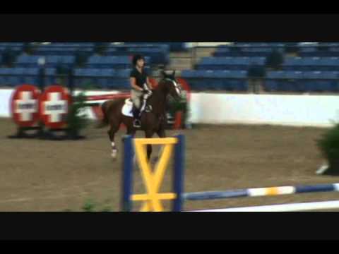 Jumper for sale "Our Victoire" Child/Adult Packer