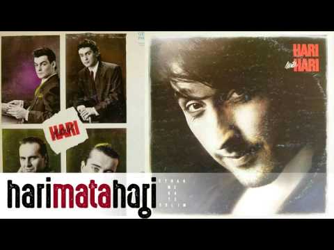 Hari Mata Hari - Sjeti se ljeta (Audio 1990)
