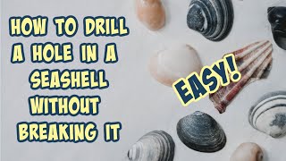 How to drill a hole in a seashell without breaking it