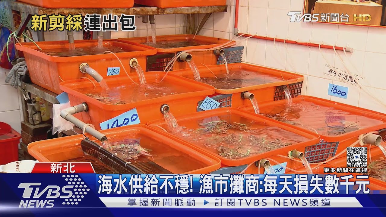 1.8億龜吼漁市剛開幕! 馬達故障釀漁獲亡