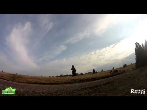 Harghita Rally 2014   Bogdan Talasman   Rezumat RallyMax