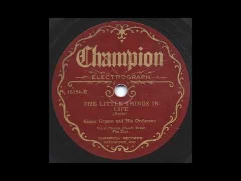 The Little Things in Life - Elmer Grosso and his Orchestra