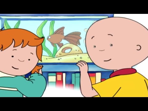 Caillou 411 - Caillou the Librarian / Caillou the Bookworm / Caillou the Storyteller