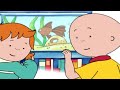 Caillou 411 Caillou The Librarian Caillou The Bookworm Caillou The Storyteller