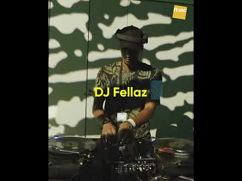 FNAC Live 2019 - Melhores momentos