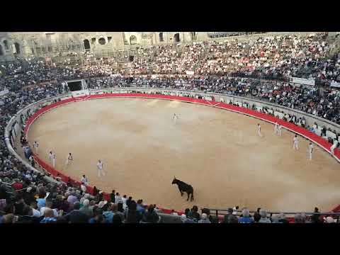 "Bullfight" at Nimes Amphitheatre.