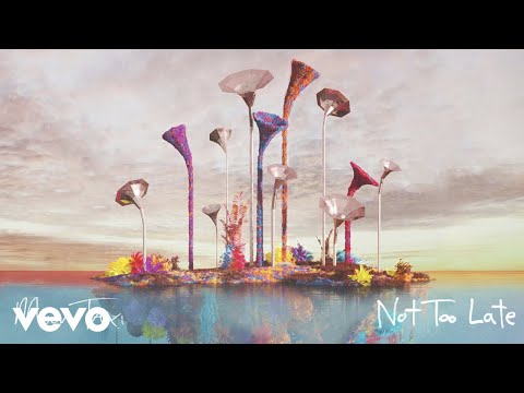 Moon Taxi - Not Too Late (Audio)