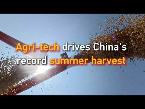 Agri-tech drives China's record summer harvest